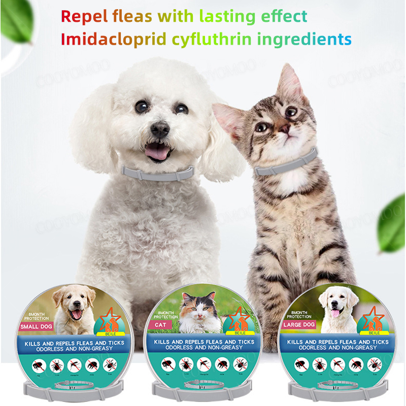 Dog Anti Flea And Tick Collars – Pet Immune Pir Sensor Bewertung und Preis