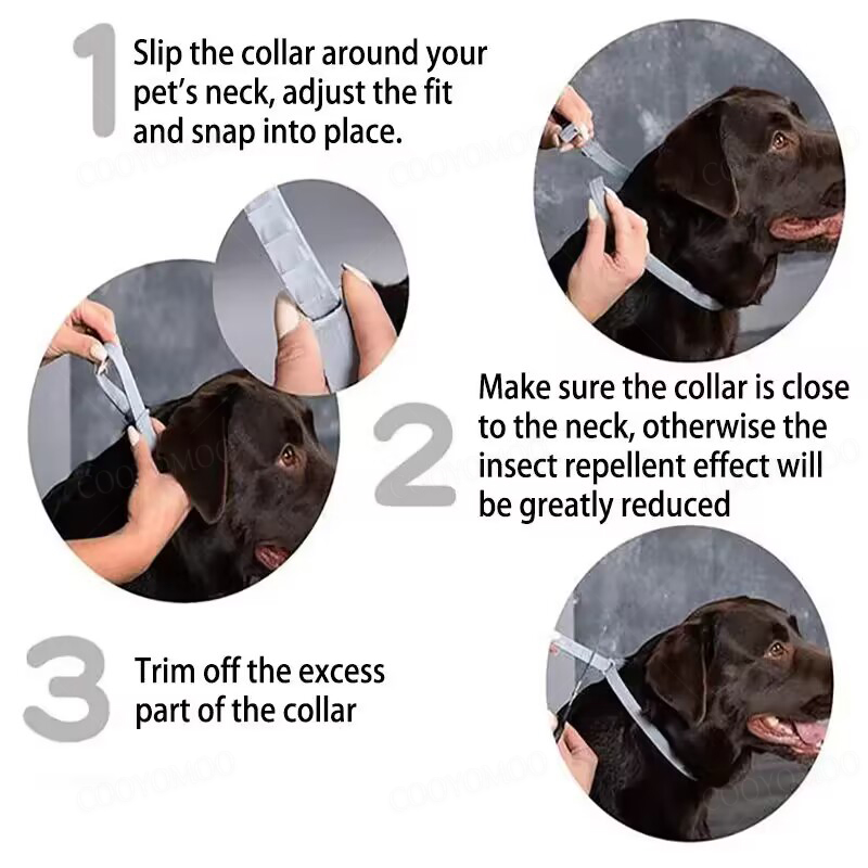 Dog Anti Flea And Tick Collars – Pet Immune Pir Sensor Bewertung und Preis