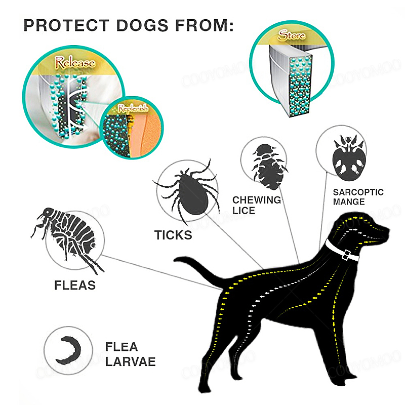 Dog Anti Flea And Tick Collars – Pet Immune Pir Sensor Bewertung und Preis