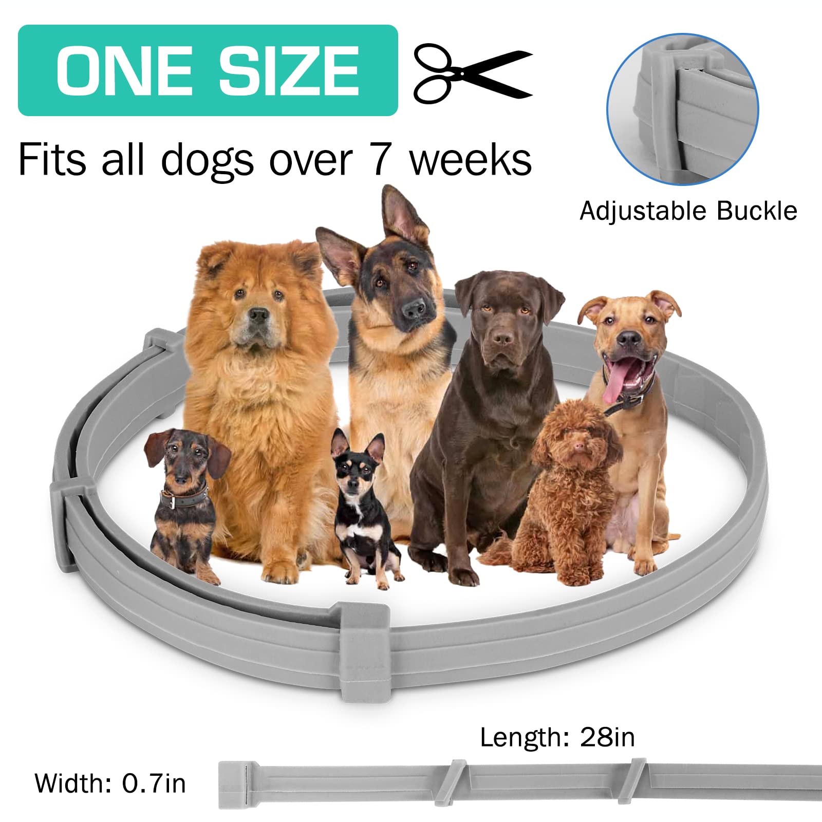 38/70CM Pet Anti Flea Ticks An – Pet Immune Pir Sensor Bewertung und Preis