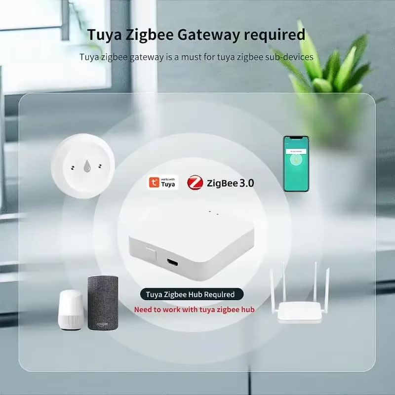For Tuya ZigBee 3.0 Smart Wate – Home Security Monitoring System Bewertung und Preis