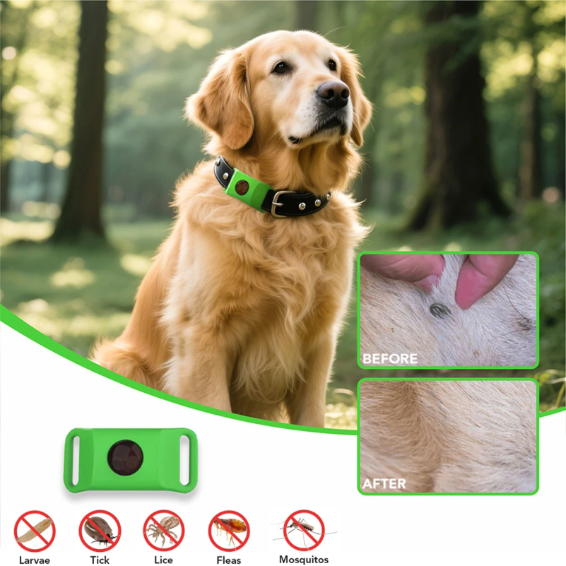 Natural Anti-Flea & Tick Penda – Pet Immune Pir Sensor Bewertung und Preis