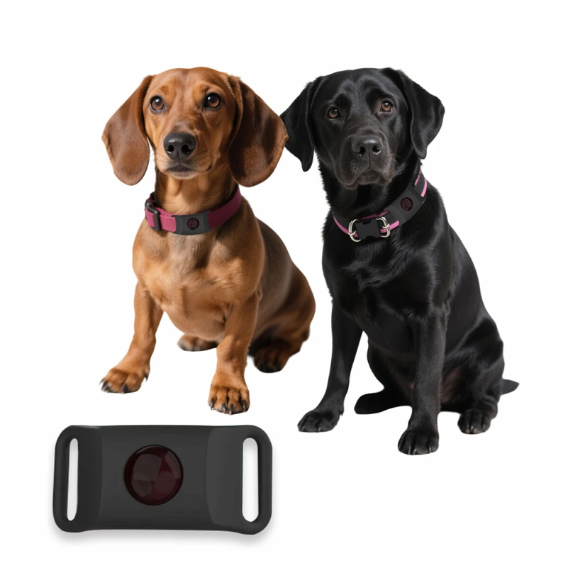Natural Anti-Flea & Tick Penda – Pet Immune Pir Sensor Bewertung und Preis