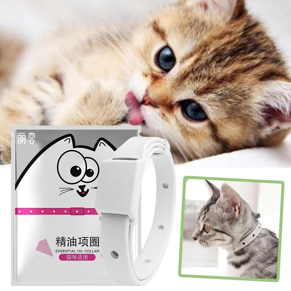 Retractable Pet Products Flea  – Pet Immune Pir Sensor Bewertung und Preis