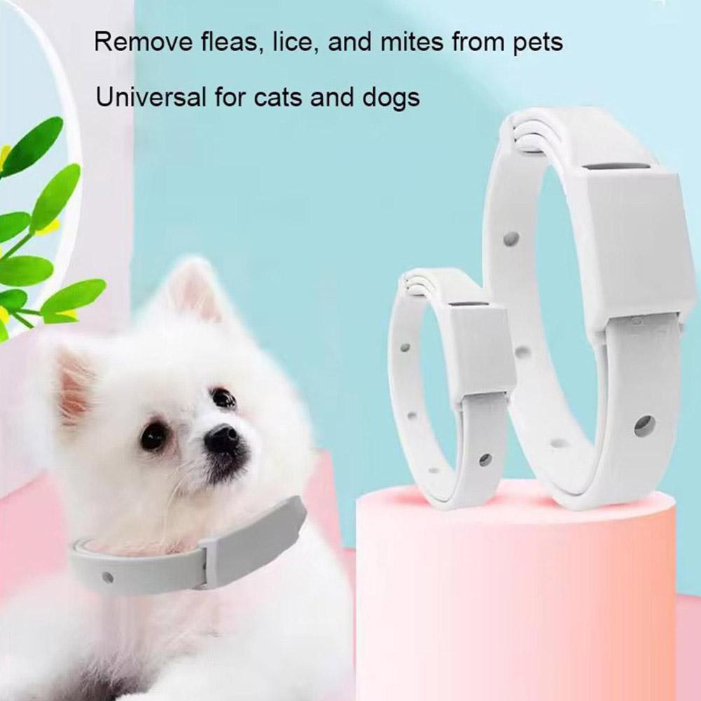 Retractable Pet Products Flea  – Pet Immune Pir Sensor Bewertung und Preis