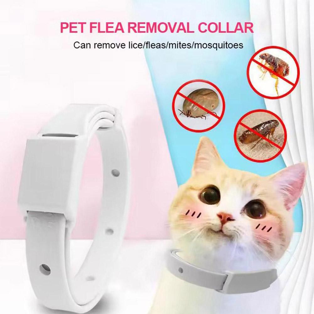 Retractable Pet Products Flea  – Pet Immune Pir Sensor Bewertung und Preis