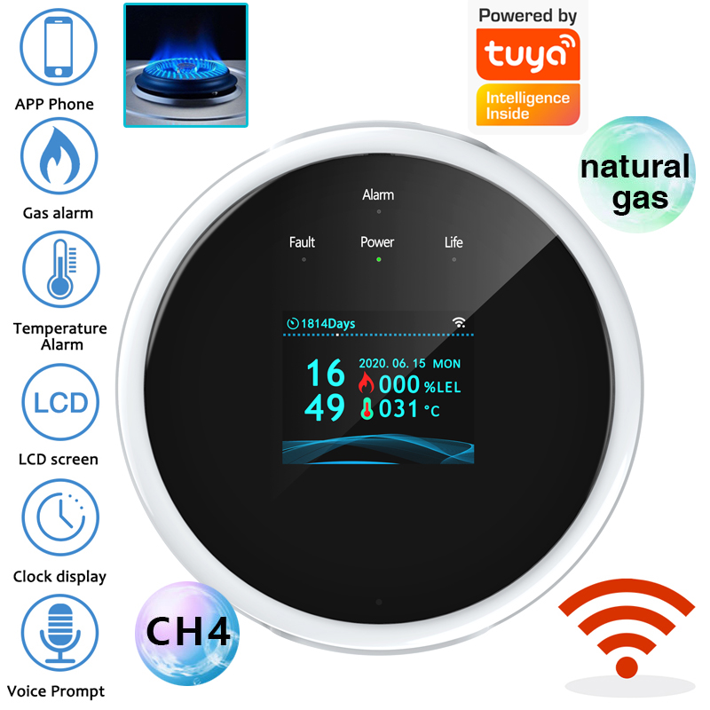 2.4G WiFi Gas Alarm Sensor Com – Home Security Network Bewertung und Preis