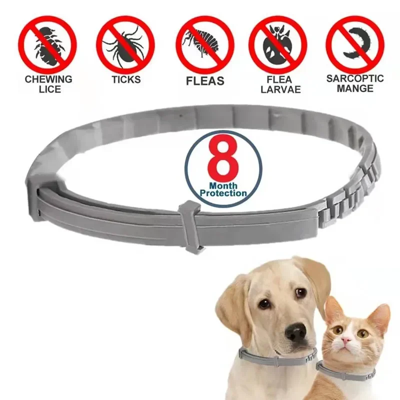 Dog Anti Flea And Tick Cat Col – Pet Immune Pir Sensor Bewertung und Preis