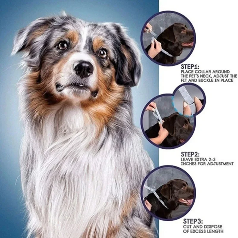 Dog Anti Flea And Tick Cat Col – Pet Immune Pir Sensor Bewertung und Preis