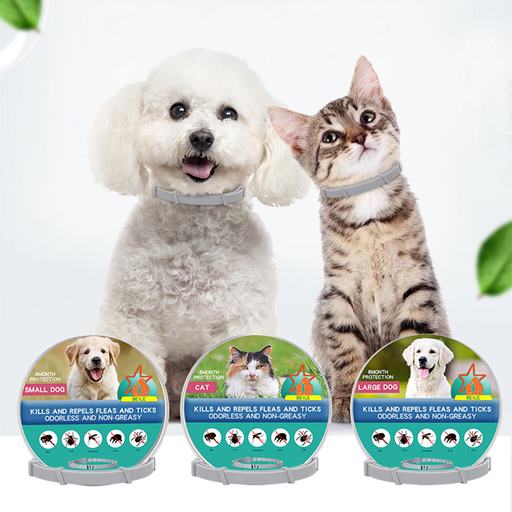 Flea Collar 8 Months Protectio – Pet Immune Pir Sensor Bewertung und Preis