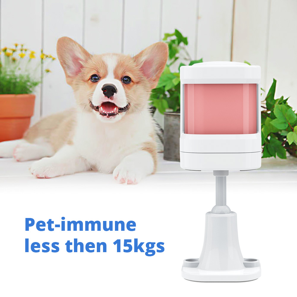 P20 Anti-pet PIR Motion Sensor – Pet Immune Pir Sensor Bewertung und Preis